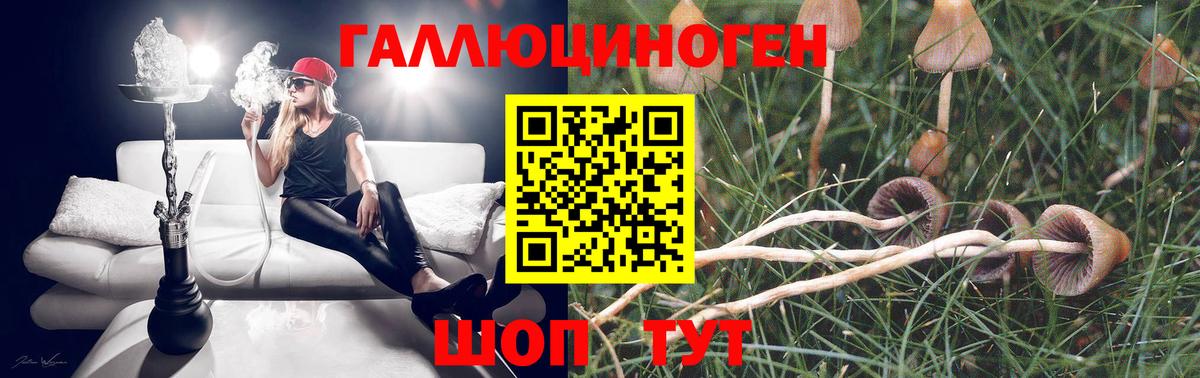 Волгодонск  Псилоцибиновые грибы MAGIC MUSHROOMS  Вход с VPN 